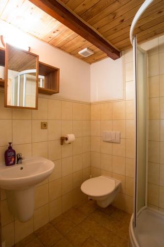 a bathroom with a sink and a toilet at Apartmány Pelíšek in Harrachov
