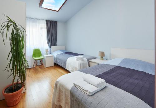 pokój hotelowy z 2 łóżkami i doniczką w obiekcie Apartments Villa FourTuna w Barze