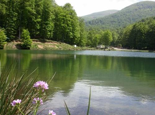 a body of water with flowers in the foreground at Gite Botiga in Saint-Jean-le-Vieux