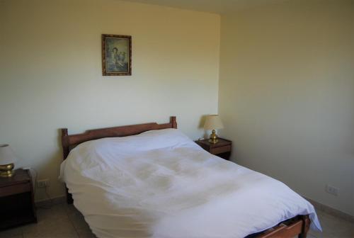a bedroom with a white bed with a picture on the wall at Cabañas Del Hain in Ushuaia