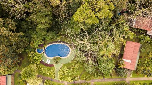 an overhead view of a swimming pool in a forest at Catarata Eco Lodge in Fortuna