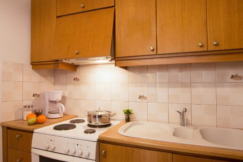 a kitchen with a sink and a stove top oven at Daliani Cozy Studios in Chania