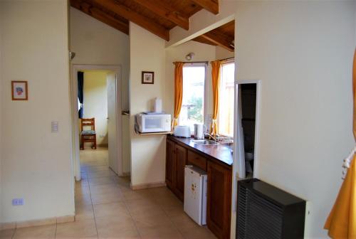 eine Küche mit einer Spüle und einer Mikrowelle in der Unterkunft Cabañas Del Hain in Ushuaia
