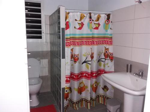 a bathroom with a shower curtain with birds on it at Villa Bananier in Lamentin