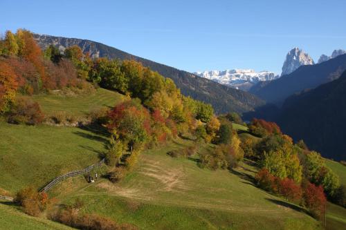 a grassy hill with trees and mountains in the background at Paderlafoderhof in Laion