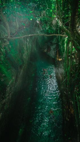 a small stream in a forest with green lights at Hotel Xcaret Mexico All Parks All Fun Inclusive in Playa del Carmen