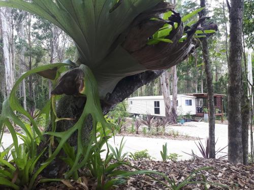 Taman di luar Stay @ LP Montville