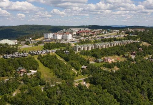 an aerial view of a city with buildings and trees at Rimfire in Snowshoe