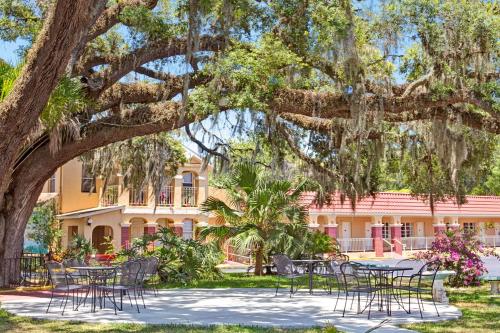 a table and chairs under a tree in front of a building at Villa 1565 - Saint Augustine in Saint Augustine