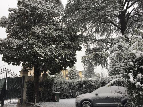 a car parked under a tree with snow on it at Lucca Relais in Lucca