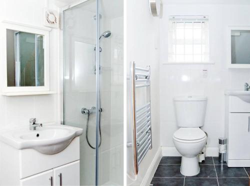 uma casa de banho com um WC, um lavatório e um chuveiro em 1BD Apartment in Dalston em Londres