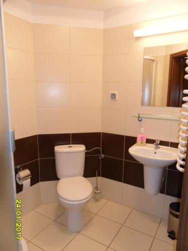 ein Bad mit einem WC und einem Waschbecken in der Unterkunft Centrum Ostra Brama im. Jana Pawła II in Skarżysko-Kamienna
