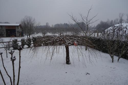 a snow covered yard with trees and a fire hydrant at Agriturismo L'Antico Sapore in Baraggia di Boca