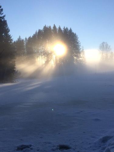 a foggy street with the sun rising behind trees at Filzenhof in Kitzbühel