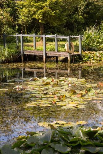 a park bench sitting in a pond with lilies at Priory Wareham in Wareham