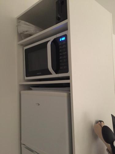 Un four micro-ondes est installé au-dessus d'un réfrigérateur. dans l'établissement studio avec terrasse parking, à Six-Fours-les-Plages