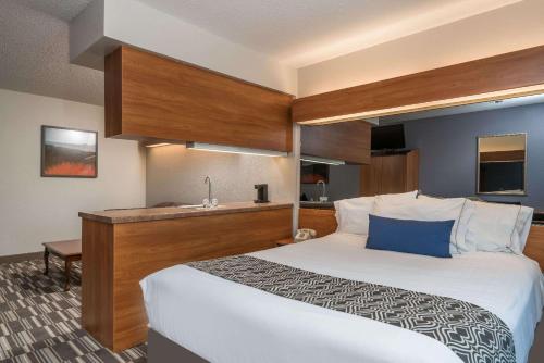 a hotel room with a bed and a sink at Microtel Inn & Suites by Wyndham Springfield in Springfield