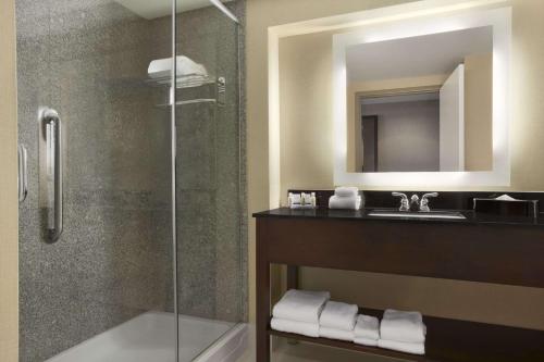 a bathroom with a shower and a sink at Wingate by Wyndham - Bismarck in Bismarck