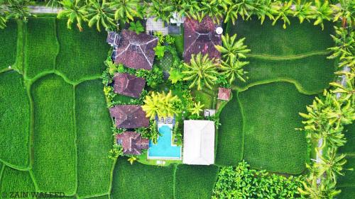 - une vue sur le jardin et la piscine dans l'établissement Hati Padi Cottages, à Ubud