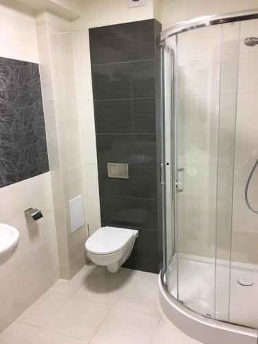 a bathroom with a toilet and a glass shower at Centrum Promocji Leśnictwa w Mucznem in Lutowiska