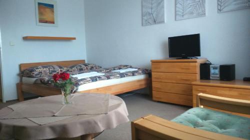 - une chambre avec une table, un lit et une télévision dans l'établissement Aparman Čakanka, à Donovaly