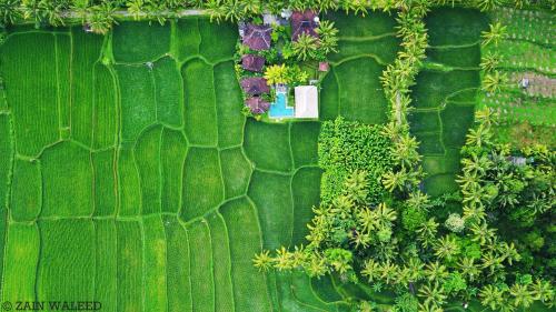 Hati Padi Cottages – Photos 3