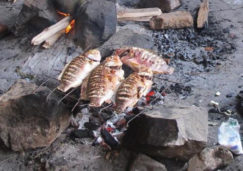 three cats are sitting on top of a grill at Kasenyi Lake Retreat Lodges & Campsite in Kasese