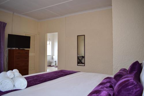 a bedroom with a large bed and a television at Moye Guest House in Benoni