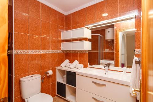 ネルハにあるTu apartamento en Nerja!のバスルーム(トイレ、洗面台、鏡付)