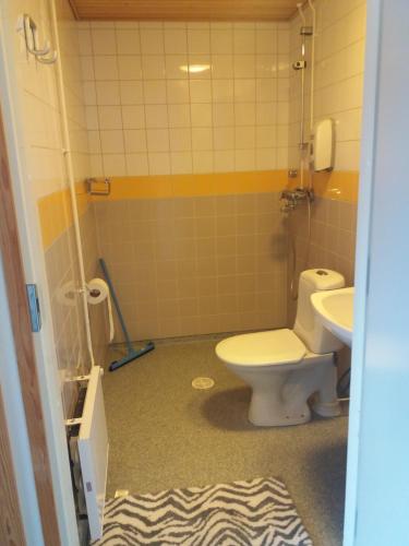 a bathroom with a toilet and a sink at Tervolahovi Lappland in Tervola