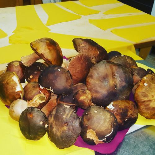 ホテルの敷地内または近くでの食事または食べ物