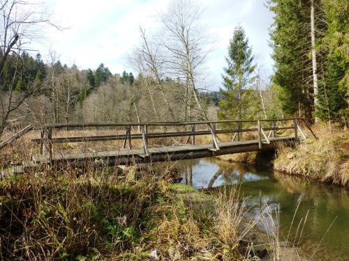 a wooden bridge over a river in a forest at Centrum Promocji Leśnictwa w Mucznem in Lutowiska