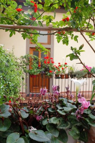Giardino di Faenza Novella