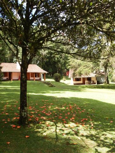 a tree in the middle of a green yard at Hotel Refazenda in Visconde De Maua