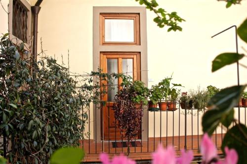 Giardino di Faenza Novella