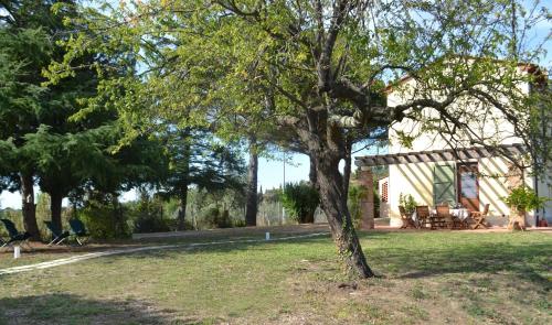 Il Rosino Alto – Photos 3
