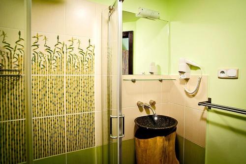 a bathroom with a sink and a glass shower at Pensjonat Kolory Świata in Solec-Zdrój