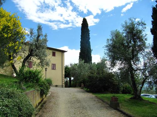 a road leading to a house with a tree at Agriturismo La Gioconda in Vinci