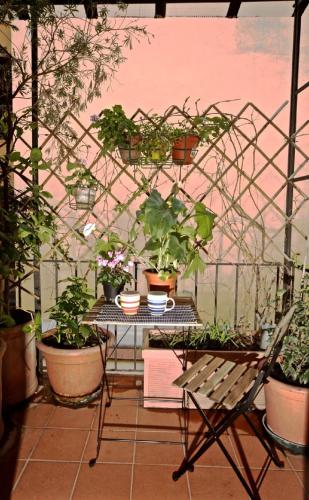 Balcone o terrazza di Faenza Novella