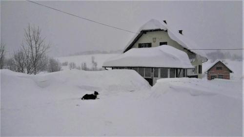 House Ivan en invierno
