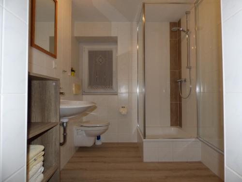 e bagno con doccia, servizi igienici e lavandino. di Ferienwohnung Büchsenhof a Prossen