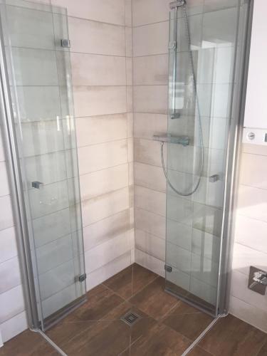 a shower with a glass enclosure in a bathroom at Ferienhaus an der Selke in Meisdorf