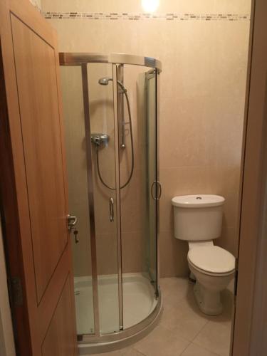 a bathroom with a shower and a toilet at Beautiful Killarney Apartment in Killarney