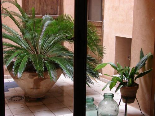 a plant in a large pot on a tile floor at El Sueño de Lucrecia in Villarrubia de Santiago