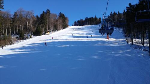 a group of people skiing down a snow covered slope at Apartment U Lipna Nová Pec in Nová Pec