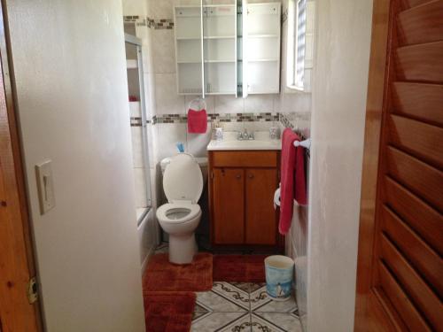 a small bathroom with a toilet and a sink at Queen Quarters USVI in Christiansted