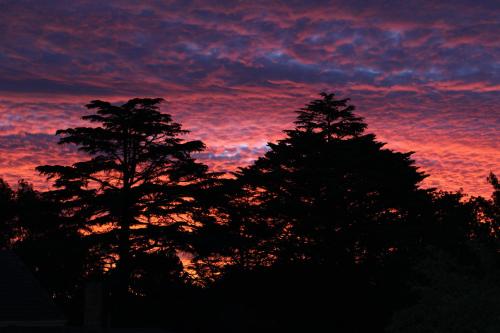 two silhouettes of trees in front of a sunset at Pirralilla Estate Adelaide Hills in Aldgate