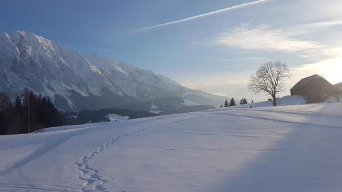 Fotografie z fotogalerie ubytování Apartmán Tauplitz v destinaci Tauplitz