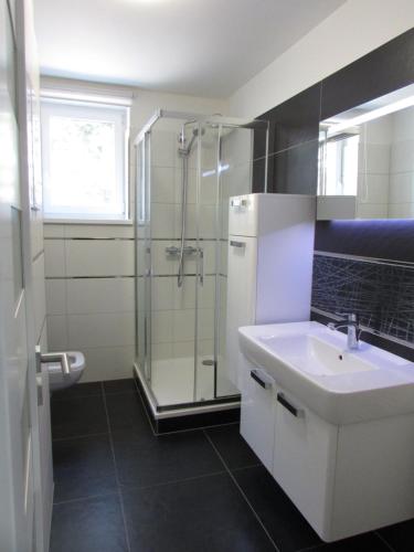 a bathroom with a sink and a glass shower at Beautiful city center Apartment with private parking in Martin