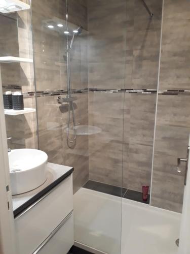 a bathroom with a shower with a sink and a toilet at Appartement Quai Ouest in Dieppe